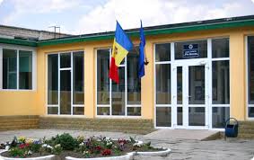 Теоретический лицей «Pro Succes»
